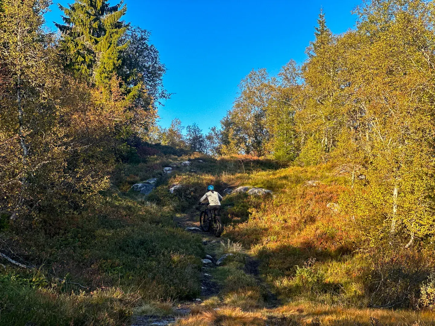 7 Day MTB in NOrway 22